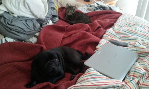 2010-10-27%2013.10.00.jpg