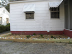 DSCN3251.JPG