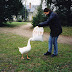 img706w.jpg