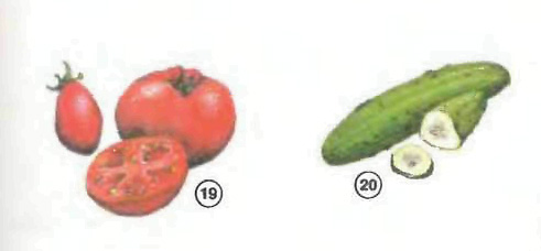 tomato cucumber Vegetables food