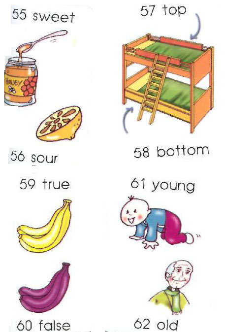 opposites 4 Opposites Words dictionary children. sweet, sour top, bottom opposites 4 Opposites Words dictionary children. sweet, sour top, bottom