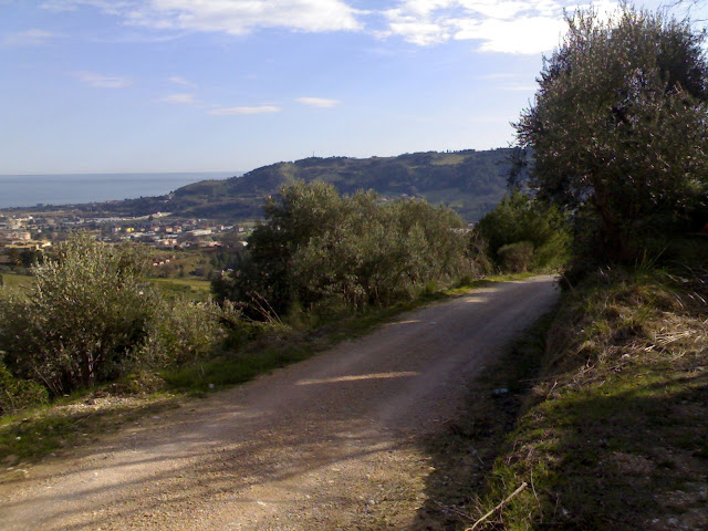 030220101651.jpg