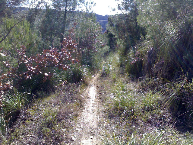 180220101669.jpg