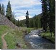 Specimen Creek