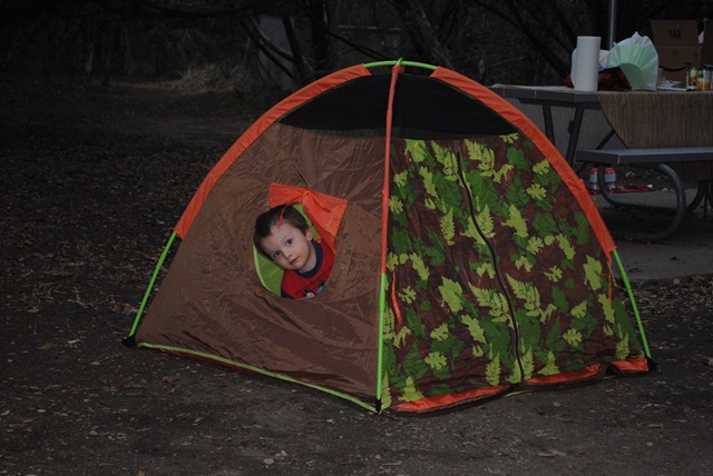 [DSC_0541[4].jpg]