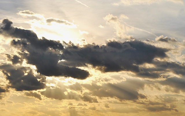 [DSC_33264.jpg]