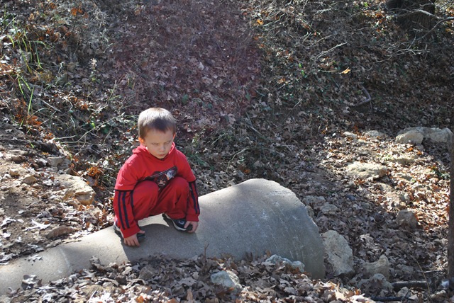 [DSC_33553.jpg]