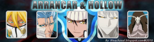 อารันคาร์และฮอลโลว์ Arrancar & Hollow