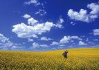 آیا شما می دانید چرا رنگ آسمان آبی است؟