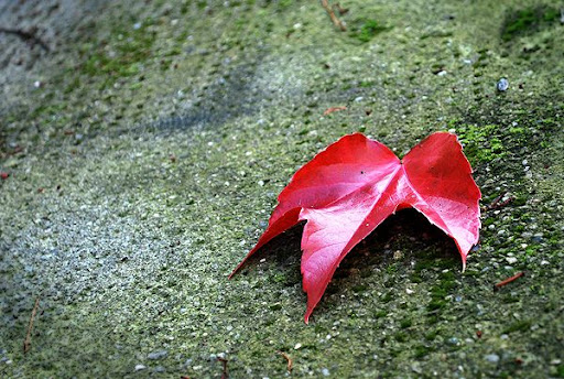 2009 Fall in Basel, Switzerland