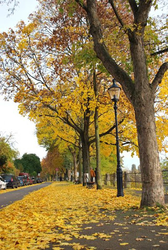 2009 Fall in Basel, Switzerland