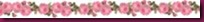 ShabbyBlogsDividerESM ShabbyBlogsDividerESM