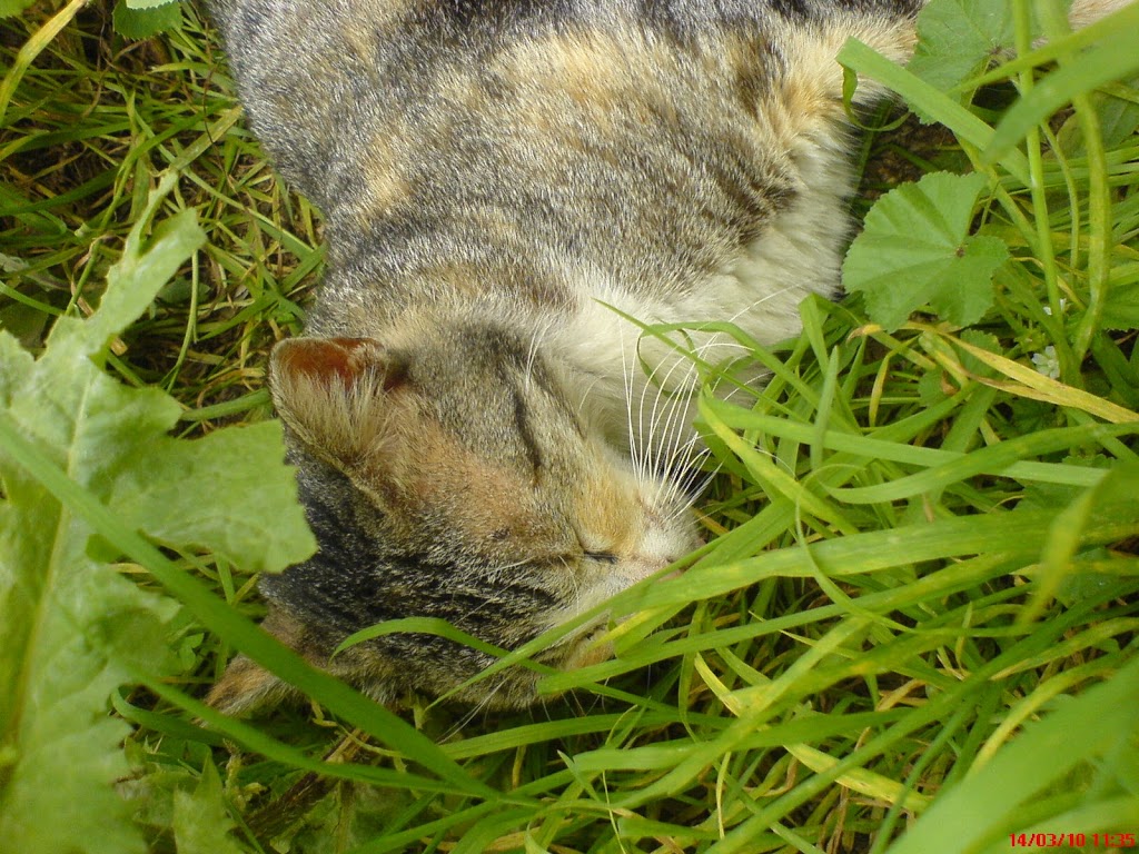 DSC00095.JPG