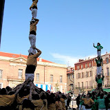 10 fotos