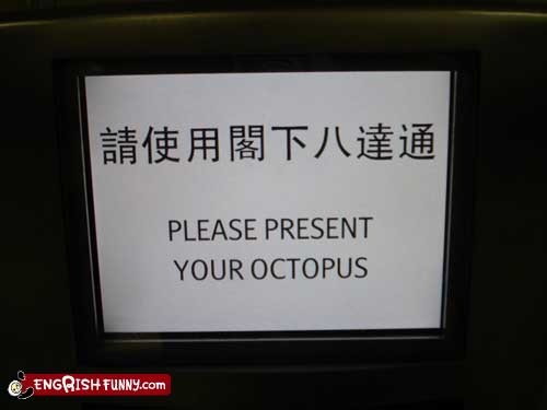 [octopus1.jpg]