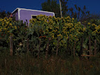 Galeana 224.jpg