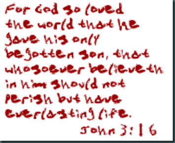john316