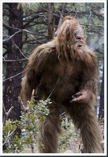 MessinWithSasquatch_2-full