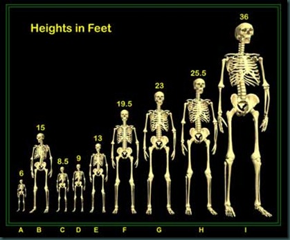 Man,Anunnaki and Nephilim