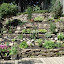 codefly's Backyard Slope garden