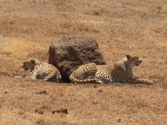 [DSCN06772.jpg]
