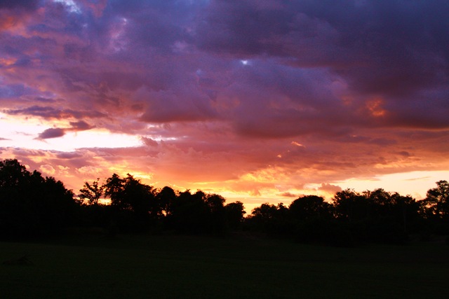 [IMG_52522.jpg]