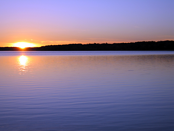 [image[8].png]