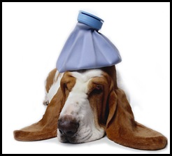 sick-dog