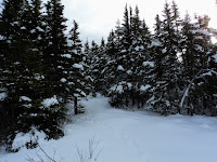 DSC03331.JPG Photo