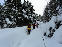 DSC03333.JPG Photo