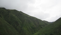 IMG_0413.JPG Photo