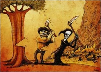 ecocartoon morte da floresta