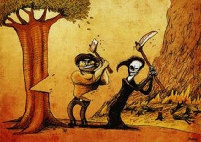 [ecocartoon morte da floresta[6].jpg]