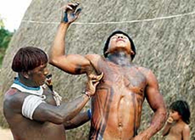 [jovem da etnia yawalapiti se submete a ritual de passagem[5].jpg]