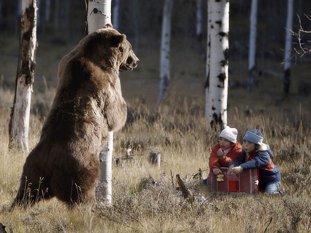 [como apanhar um urso.jpg]