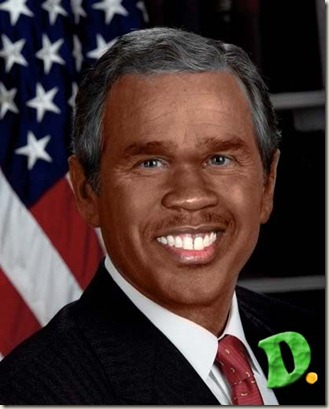 Bush Bush