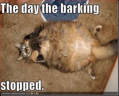 funny-pictures-cat-ate-dog-barking-stopped