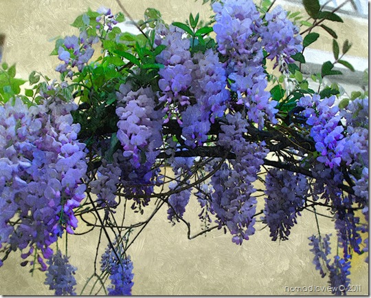 spring Wisteria Painting, Wisteria, Impressionism http://nomadicjoe.blogspot.com/