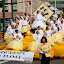100410_daffodil-parade_119.jpg