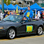 100409_L-Raisl_daffodil-parade-images_082.jpg