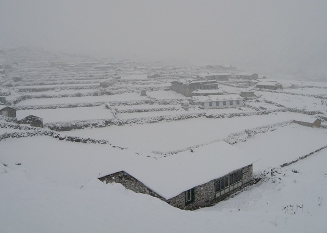 [IMG_55813.jpg]