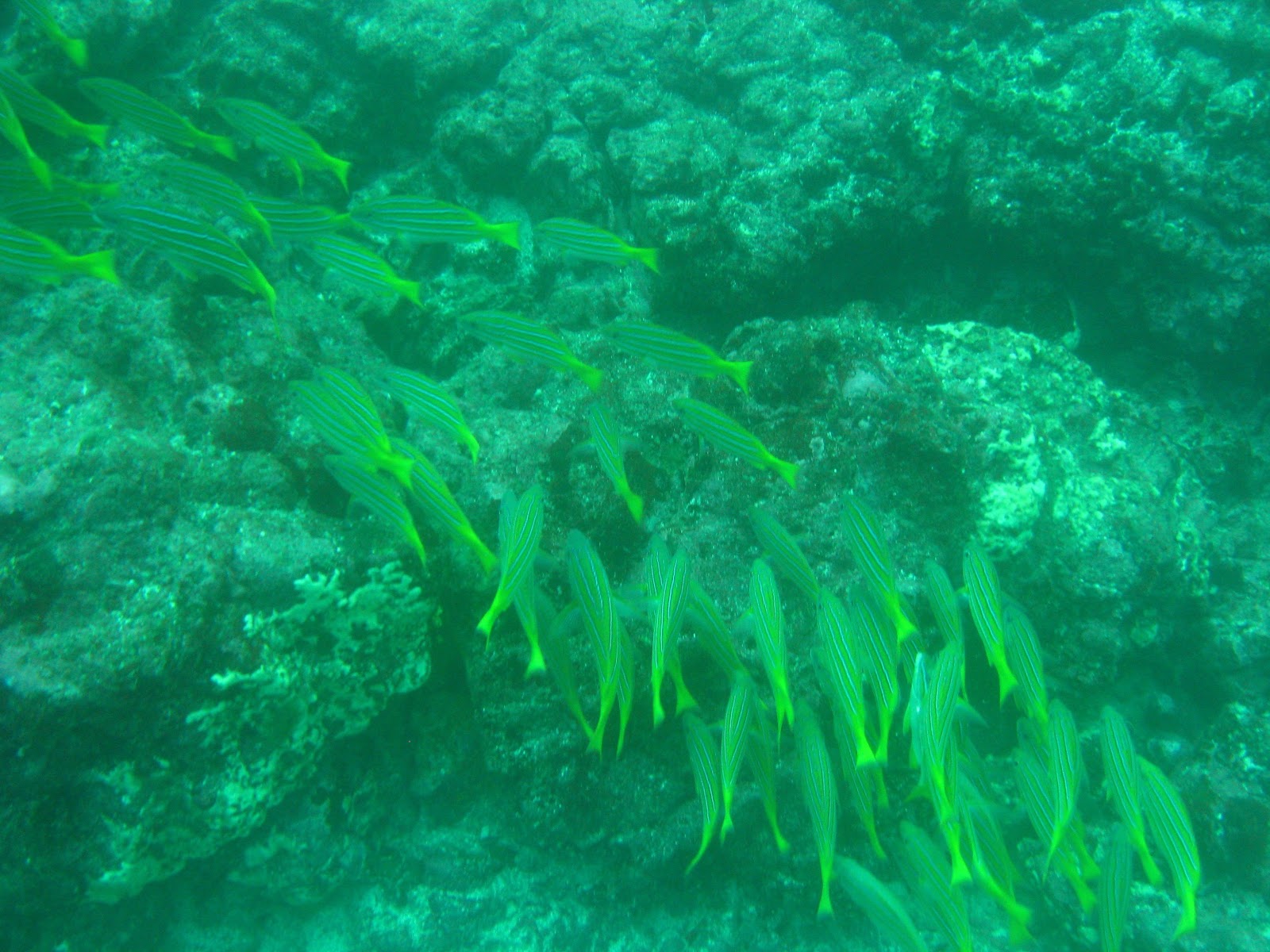 [IMG_62872.jpg]
