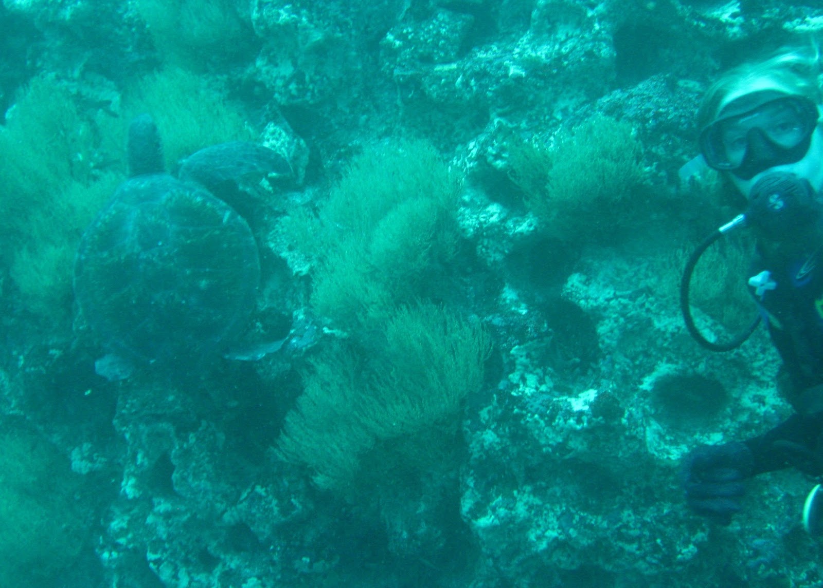 [IMG_63522.jpg]
