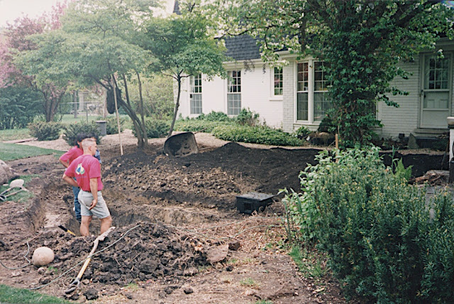 pond before