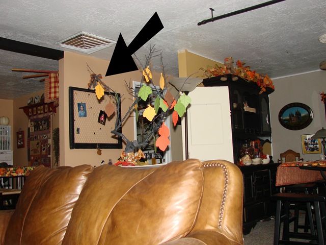 [DSC025802[11].jpg]