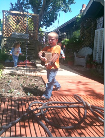 IMG_0586 IMG_0586