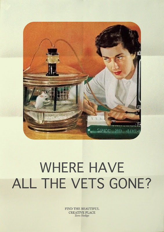 Vet