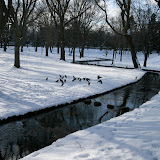 20091229-IMG_7373.jpg