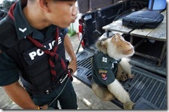 monkey_police_02