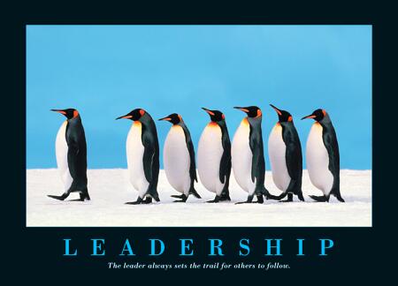 leadership_penguines.jpg